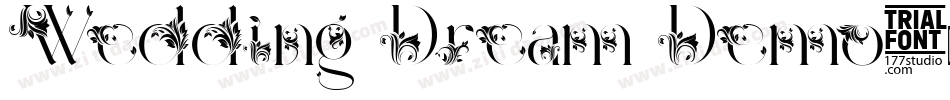 Wedding Dream Demo字体转换